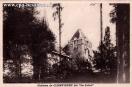 Carte postale ancienne - Château de CLEMTIGNEY dit "La Juive"