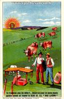 Carte postale ancienne - Salines de Franche-Comté - Sel Au Lion