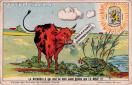 Carte postale ancienne - Salines de Franche-Comté - La GRENOUILLE qui veut se fa...