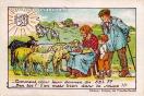 Carte postale ancienne - Salines de Franche-Comté - Comment, vous leur donnez du...