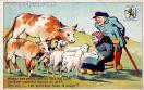 Carte postale ancienne - Salines de Franche-Comté - Sel au Lion