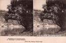 Carte postale ancienne - EXCURSION EN FRANCHE-COMTÉ - 22 BESANÇON - Le Doubs à M...