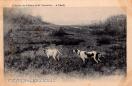 Carte postale ancienne - Collection des Tableaux de M. Trémolières. - A l'arrêt