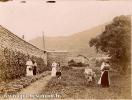 Carte postale ancienne - BESANÇON - Casamène. Treille - 1922