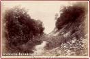 Carte postale ancienne - BESANÇON - Chemin du pied de Chaudanne