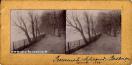 Carte postale ancienne - Promenade Micaud. Besançon - Novembre 1896