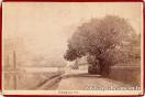 Carte postale ancienne - 371 BESANÇON - Casamène